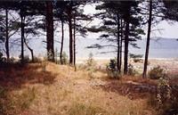 1994_Ruegen_7.jpg