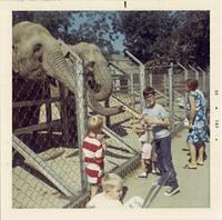 jeff_david_elephants.jpg