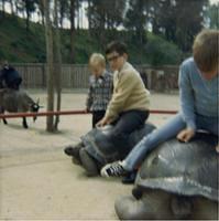 jeff_david_tortoise.jpg