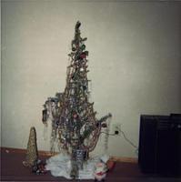 pyrocantha_xmas.jpg